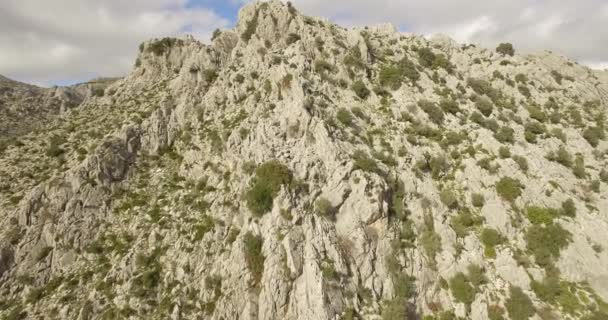 4k lucht vlucht over een groene gearchiveerd in Andalusië, Spanje — Stockvideo
