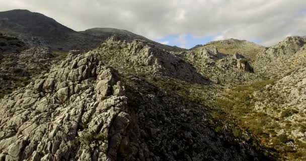 4k lucht vlucht over een groene gearchiveerd in Andalusië, Spanje — Stockvideo