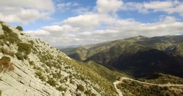 4K Aerial flight over a green filed in Andalusia, Spain — Stock Video