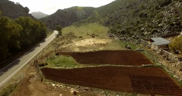 4k lucht vlucht over een groene gearchiveerd in Andalusië, Spanje — Stockvideo