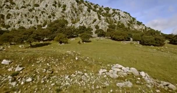 4K Aerial, Volo lungo una catena montuosa nel Parque Natural Sierra De Grazalema, Andalusia, Spagna — Video Stock