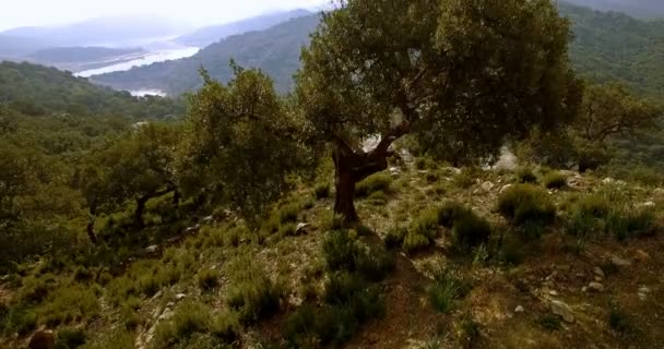 4k anténa, lety přes bariérové jezero ve Španělsku, Embalse de Guadarranque, Andalusie — Stock video
