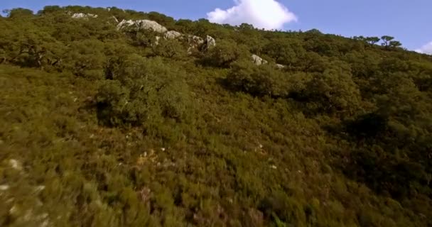 4K antenn, flyg över Barrier Lake i Spanien, Embalse de Guadarranque, Andalusien — Stockvideo