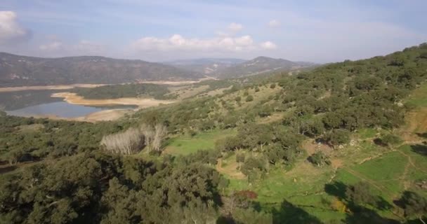 4K aerial, lot wzdłuż pięknego Castillo de Castellar, Andaluzja, Hiszpania — Wideo stockowe