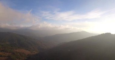4k Aerial, Bir orman üzerinde uçuş, dayak parça kapalı, Endülüs, İspanya