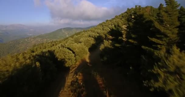 4K-antenn, flygning över en skog, utanför misshandlad spår, Andalusien, Spanien — Stockvideo