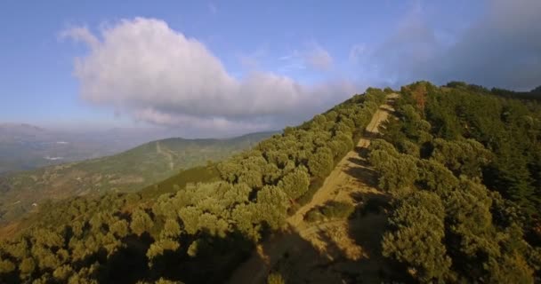 4K Aerial, Полет над лесом, вне проторенной дороги, Андалусия, Испания — стоковое видео