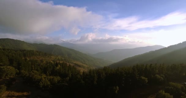 4K-antenn, flygning över en skog, utanför misshandlad spår, Andalusien, Spanien — Stockvideo