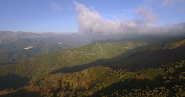 4K-antenn, flygning över en skog, utanför misshandlad spår, Andalusien, Spanien — Stockvideo