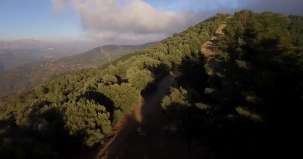 4k空中、森の上の飛行、打たれたトラックから離れて、アンダルシア、スペイン — ストック動画