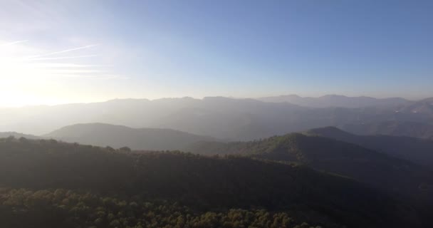 4K εναέρια, πτήση πάνω από ένα δάσος, εκτός πίστας, Ανδαλουσία, Ισπανία — Αρχείο Βίντεο