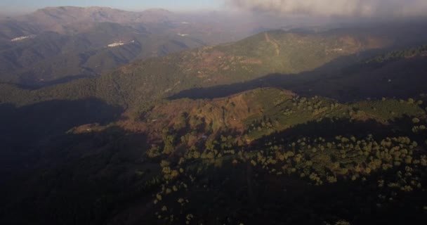 4K aerial, Lot nad lasem, na uboczu, Andaluzja, Hiszpania — Wideo stockowe