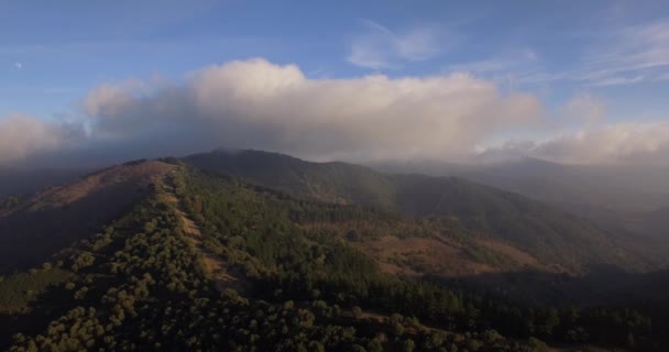 4K-antenn, flygning över en skog, utanför misshandlad spår, Andalusien, Spanien — Stockvideo