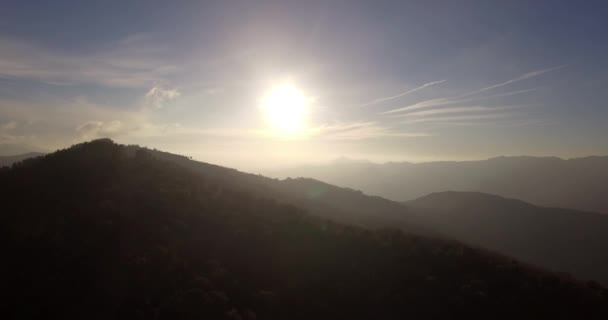 4k antenne, vlucht over een bos, off the beaten track, Andalusië, Spanje — Stockvideo