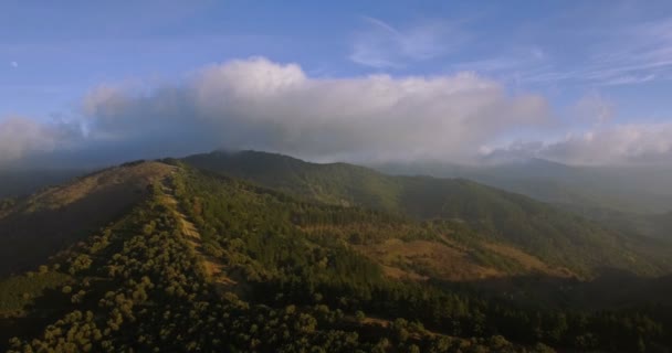 4K-antenn, flygning över en skog, utanför misshandlad spår, Andalusien, Spanien — Stockvideo