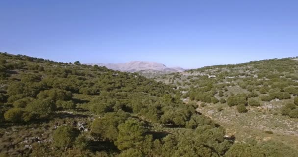 4k antenne, vlucht langs een rivierbedding, Andalusie, Spanje — Stockvideo