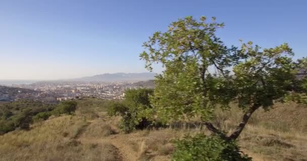 4K Aerial, Cityscape Málaga, Andaluzia, Espanha — Vídeo de Stock