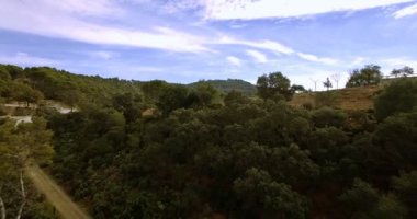 4k anteni, Endülüs, İspanya bir orman üzerinde uçan