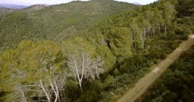 4k anteni, Endülüs, İspanya bir orman üzerinde uçan