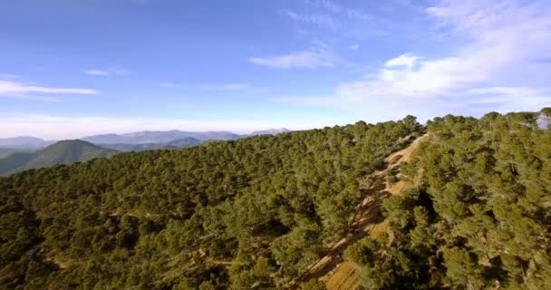 4k Antenne, Flug über einen Wald in Andalusien, Spanien — Stockvideo