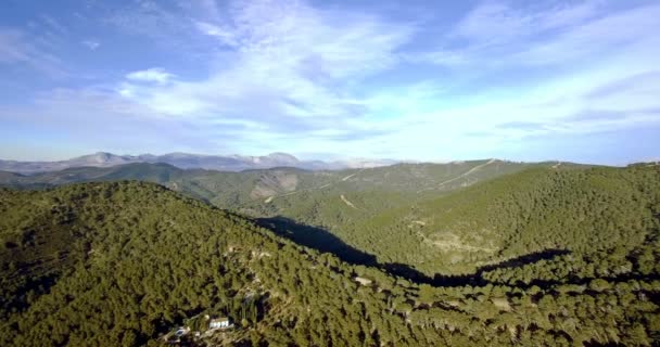 4k επιτόπιων δειγματοληπτικών, που πετούν πάνω από ένα δάσος στην Ανδαλουσία, Ισπανία — Αρχείο Βίντεο