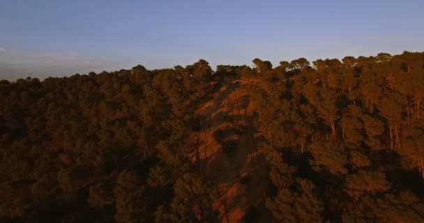 4k επιτόπιων δειγματοληπτικών, που φέρουν στο ηλιοβασίλεμα στην Ανδαλουσία, Ισπανία — Αρχείο Βίντεο