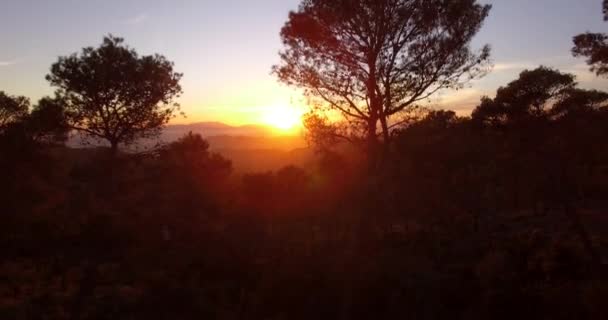 4k antenne, vliegen naar de zonsondergang in Andalusie, Spanje — Stockvideo