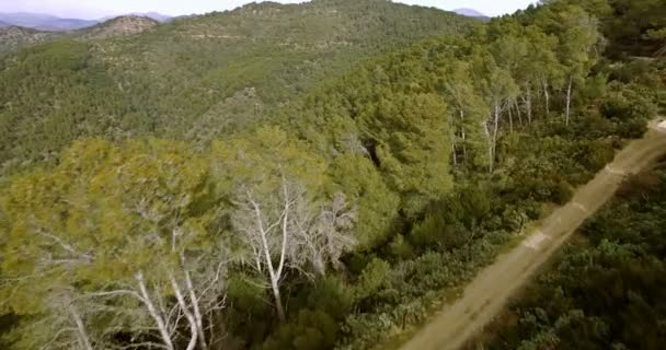 4k antenne, vliegen over een bos in Andalusie, Spanje — Stockvideo