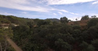 4k anteni, Endülüs, İspanya bir orman üzerinde uçan