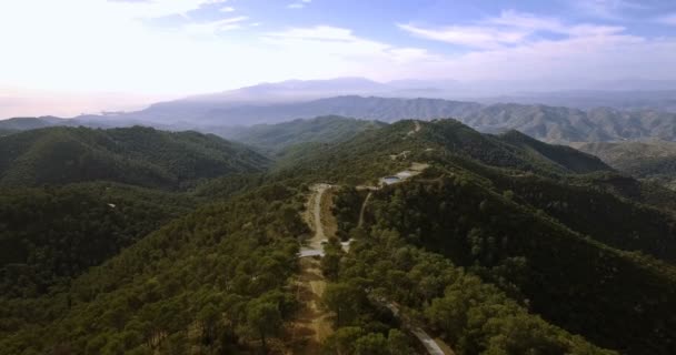 4 k 空中, アンダルシア州, スペインの林の上を飛んで — ストック動画