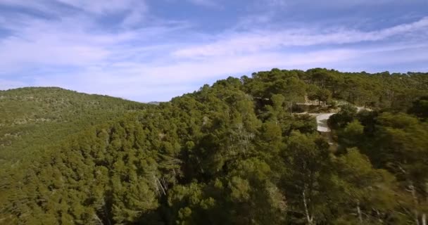 4k antenne, vliegen over een bos in Andalusie, Spanje — Stockvideo