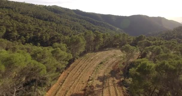 4k Antenne, Flug über einen Wald in Andalusien, Spanien — Stockvideo