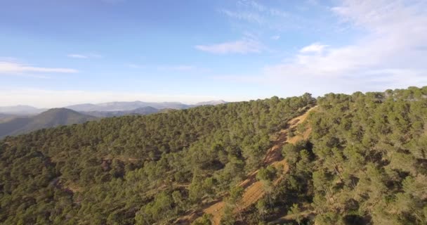 4k antenne, vliegen over een bos in Andalusie, Spanje — Stockvideo