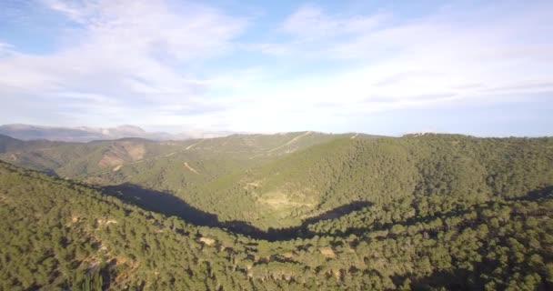 4k antenne, vliegen over een bos in Andalusie, Spanje — Stockvideo