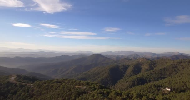 4k antenn, flyger över en skog i Andalusien, Spanien — Stockvideo