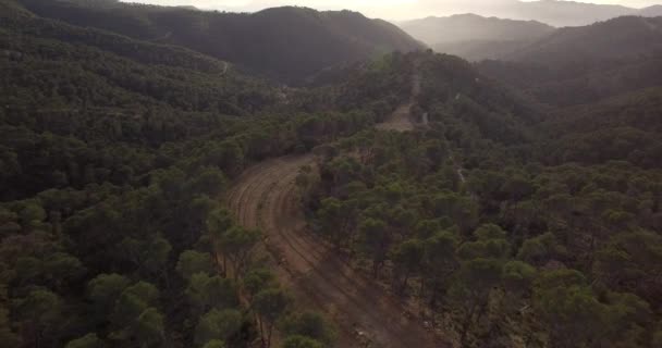 4k επιτόπιων δειγματοληπτικών, που πετούν πάνω από ένα δάσος στην Ανδαλουσία, Ισπανία — Αρχείο Βίντεο