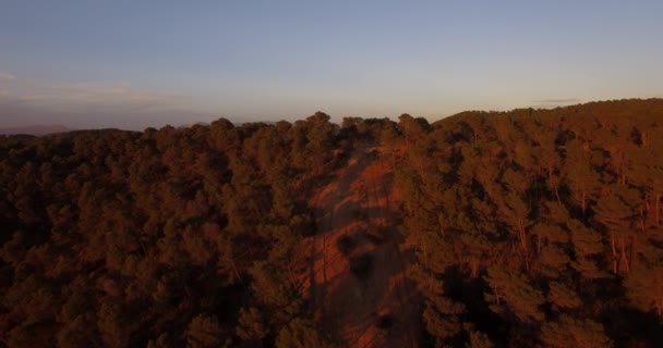 4k antenne, vliegen naar de zonsondergang in Andalusie, Spanje — Stockvideo