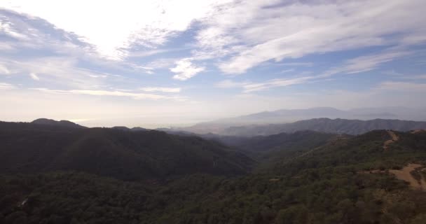 4K Aerial, Volare su una foresta in Andalusia, Spagna — Video Stock