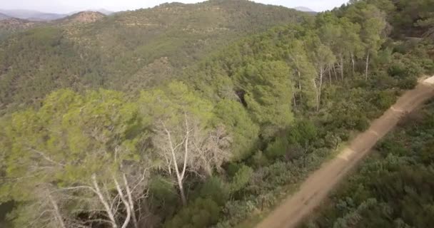 4K एरियल, स्पेन के अंडालुसिया में एक जंगल पर उड़ान भर रहा है — स्टॉक वीडियो