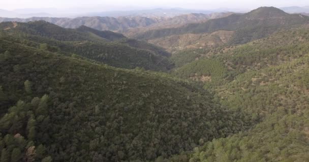 4K Aerial, Пролетая над лесом в Андалусии, Испания — стоковое видео