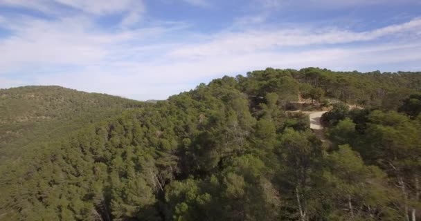 4k επιτόπιων δειγματοληπτικών, που πετούν πάνω από ένα δάσος στην Ανδαλουσία, Ισπανία — Αρχείο Βίντεο