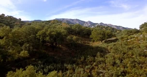 4 k 空中，安达卢西亚的风景，西班牙 — 图库视频影像