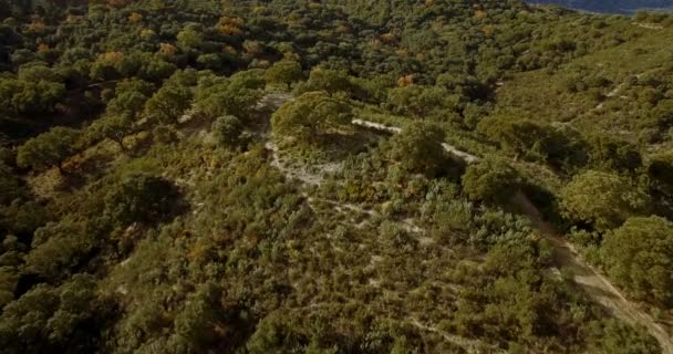 4 к антена, андалузький пейзажі, Іспанія — стокове відео