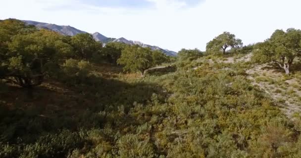 4 k antenne, Andalusische landschappen, Spanje — Stockvideo