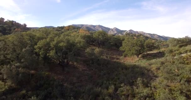 Paysages 4K Aériens, Andalous, Espagne — Video