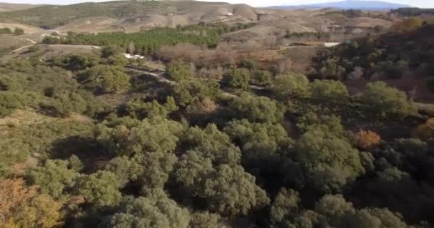 4k Antenne, andalusische Landschaften, Spanien — Stockvideo