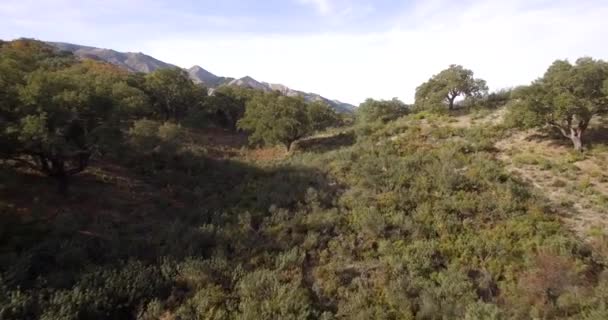 4 k anteny, andaluzyjskie krajobrazy, Hiszpania — Wideo stockowe