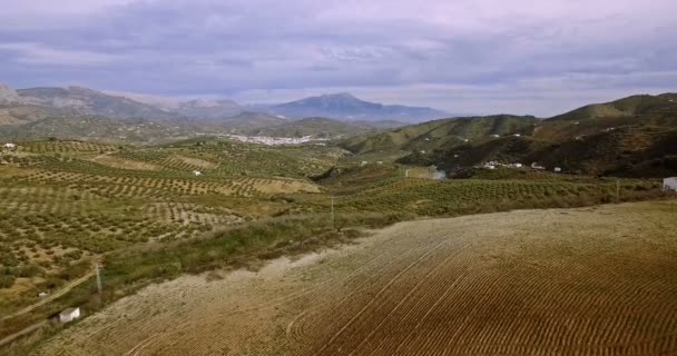 4K Aerial, Volo sui campi di Colmenar, Andalusia, Spagna — Video Stock