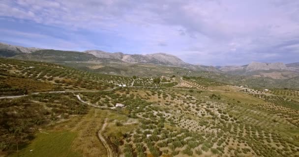 4K Aerial, Volo sui campi di Colmenar, Andalusia, Spagna — Video Stock