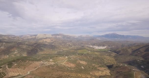 4k Antenne, Flug über die Felder von Colmenar, Andalusien, Spanien — Stockvideo
